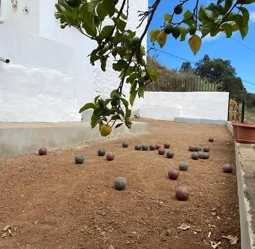 Casa Aya * 테로르