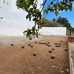 Casa Aya * テロル