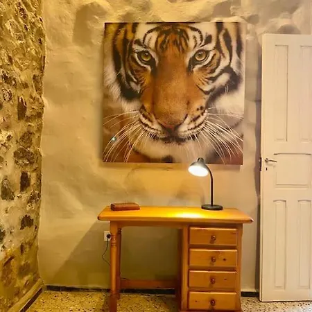 Casa Aya بيت للعطل *
